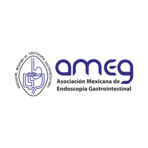 AMEG-logo.png